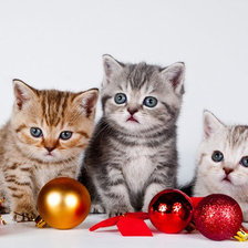 Схема вышивки «№131577»