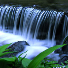 Схема вышивки «Природа»