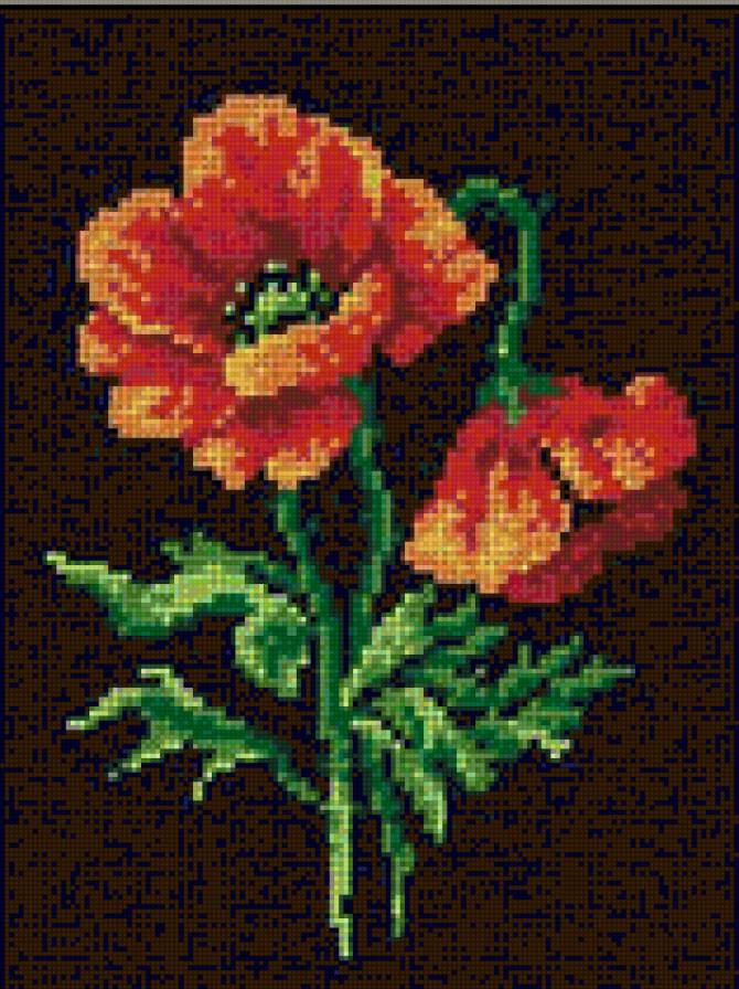 №131694 - букет, цветы - предпросмотр