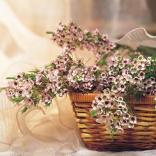 Схема вышивки «букет»