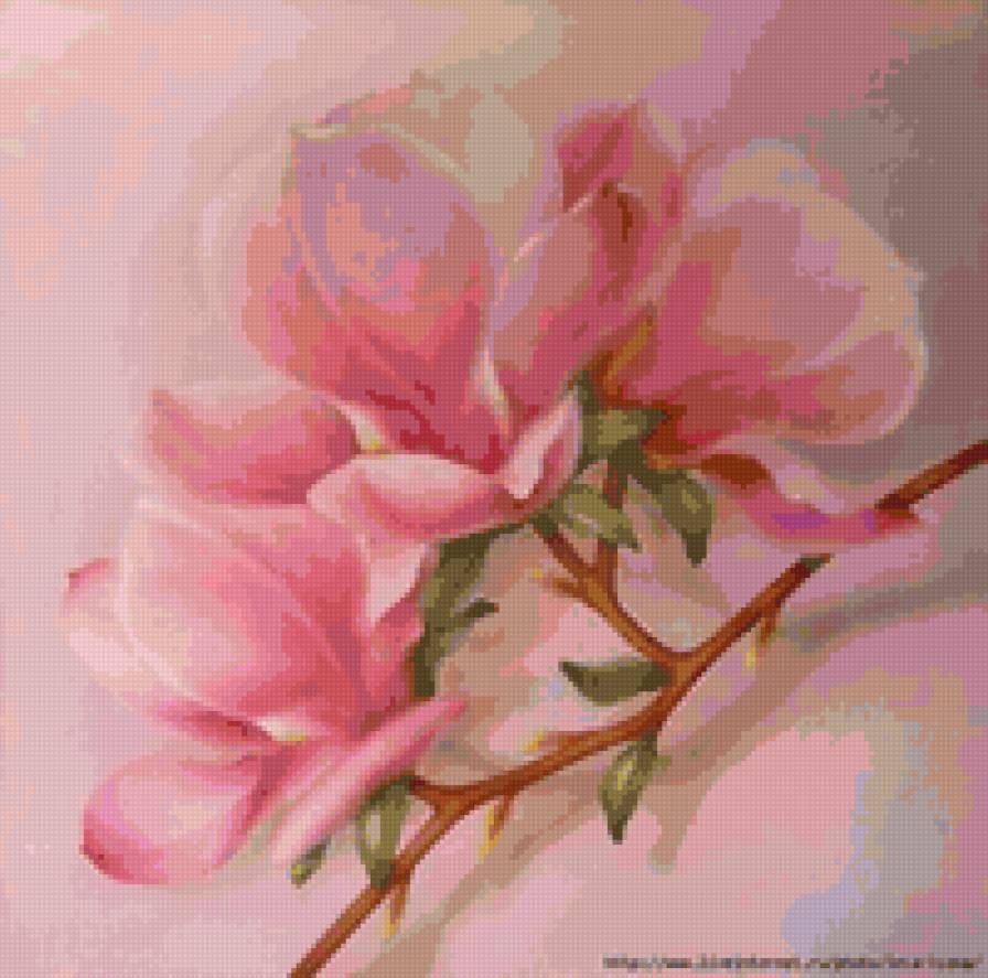 магнолия - цветы - предпросмотр