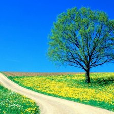 Схема вышивки «Тропа»