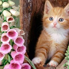 Схема вышивки «Котенок в дупле»