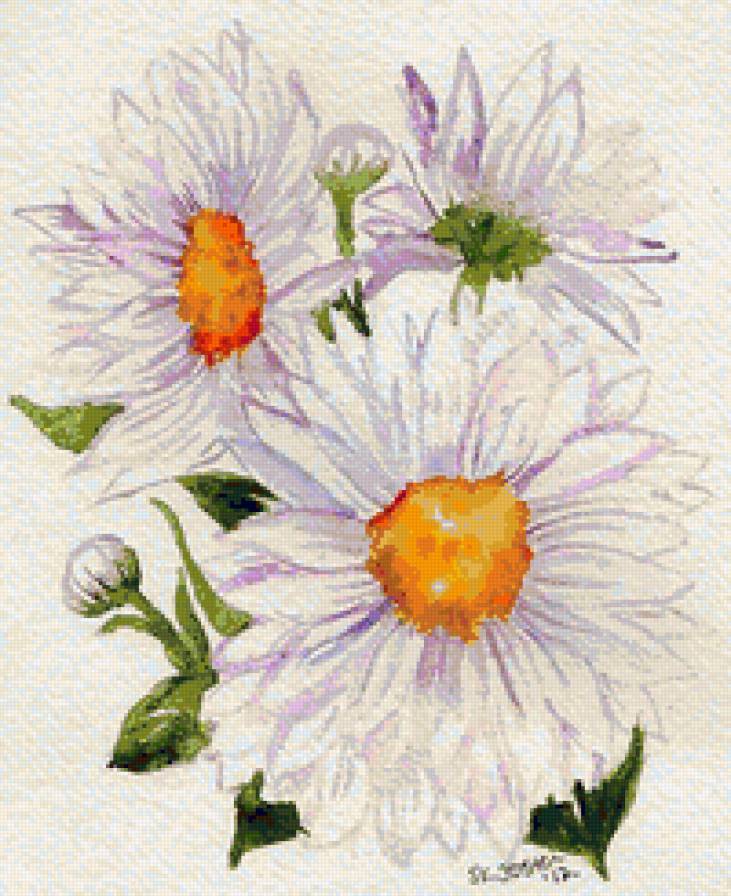 Ромашки - флора, панно, букет, цветы, ромашки, ромашка - предпросмотр