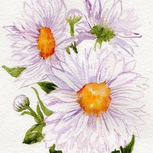 Схема вышивки «Ромашки»