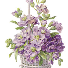 Схема вышивки «Корзина с фиалками»