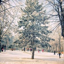 Схема вышивки «№132086»