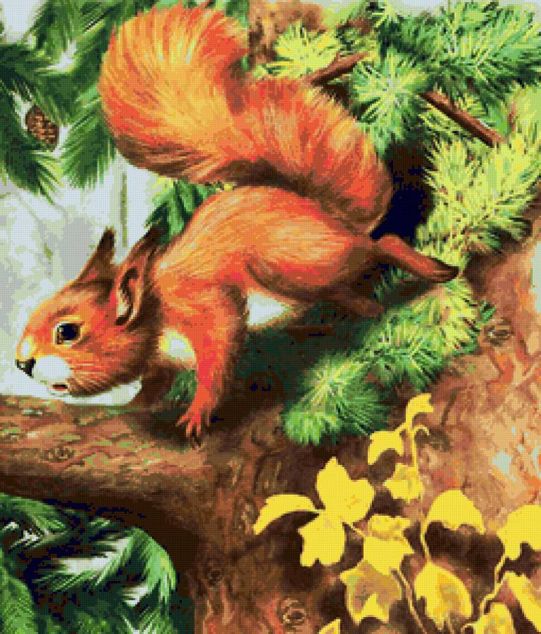 Белочка - белка, иллюстрации, пейзаж, белочка, осень, природа - предпросмотр