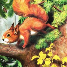 Схема вышивки «Белочка»