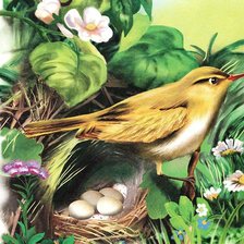 Схема вышивки «Птичка у гнезда»