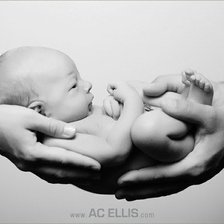 Схема вышивки «вот оно счастье!!!!»