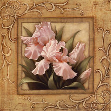 Схема вышивки «Розовые лепестки»