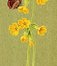 Схема вышивки «№132510»