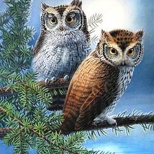 Схема вышивки «№132524»