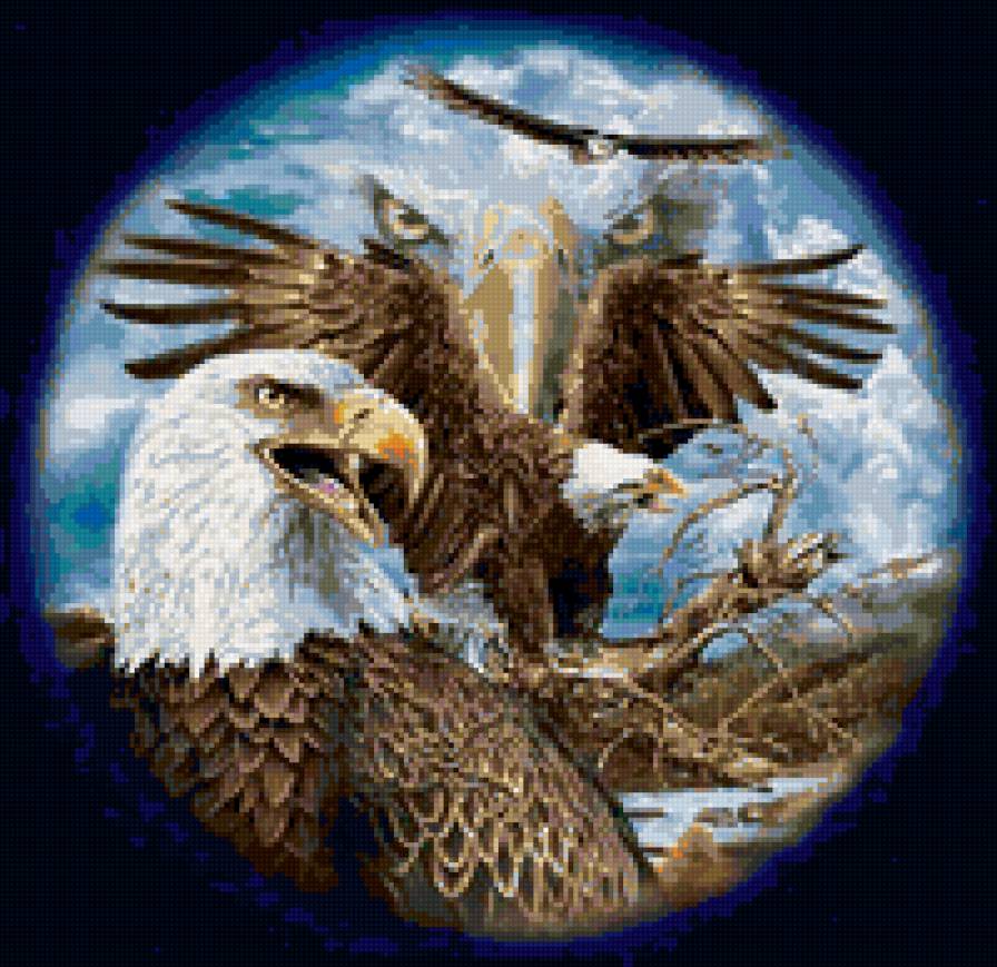 взгляд орла - птицы - предпросмотр