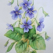 Схема вышивки «№132715»