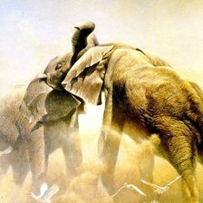 Схема вышивки «серия Африка»