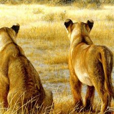 Схема вышивки «серия Африка»