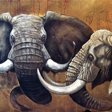 Схема вышивки «серия Африка»