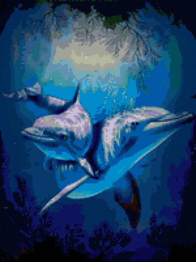 дельфины - подводный мир, дельфины - предпросмотр