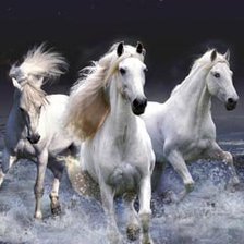 Схема вышивки «кони»