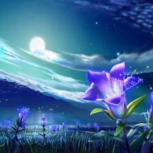 Схема вышивки «вечернее поле»