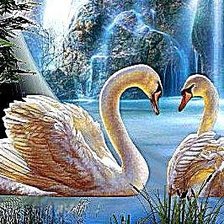 Схема вышивки «лебеди»