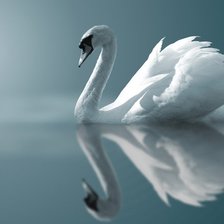 Схема вышивки «лебедь»