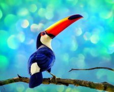 Схема вышивки «Птичка»