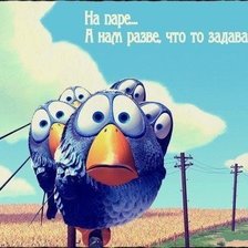 Схема вышивки «оу птицы»