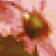 Предпросмотр схемы вышивки «Flower» (№133432)