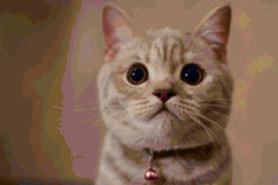 Кот - коты, животные - предпросмотр