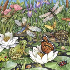 Схема вышивки «Лягушка»