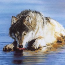 Схема вышивки «волк, Лесли Харрисон»