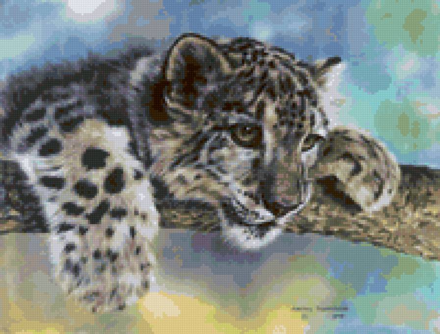 снежный барс, Лесли Харрисон - лесли харрисон, глаза, котенок, снежный барс - предпросмотр