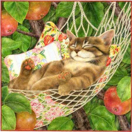 №133581 - оригинал