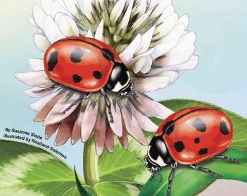 №133614 - оригинал