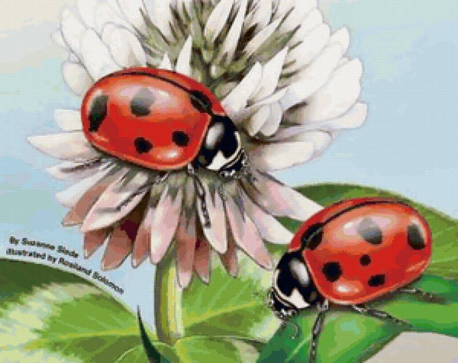 №133614 - предпросмотр