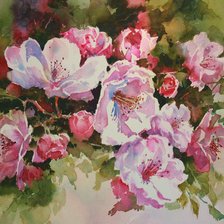 Схема вышивки «акварель»