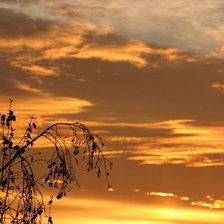 Схема вышивки «На закате»