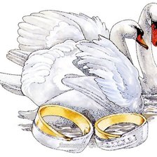 Схема вышивки «верность»