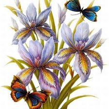 Схема вышивки «Ирисы и бабочки»