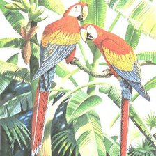Схема вышивки «Попугаи»