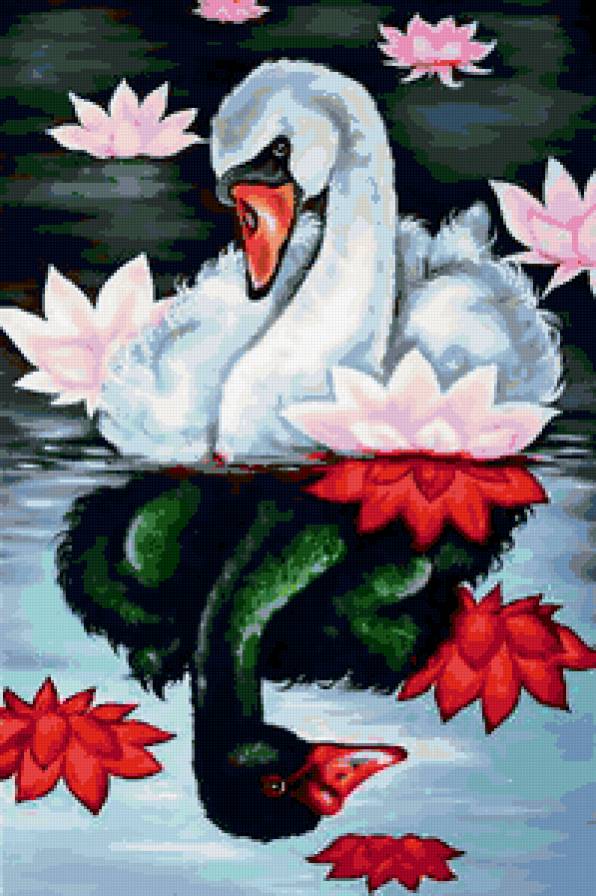 ИНЬ-ЯНЬ - пруд, черный, белый, лебеди - предпросмотр