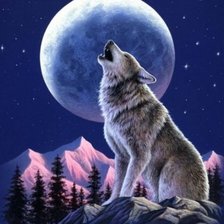 Схема вышивки «соло в ночи»