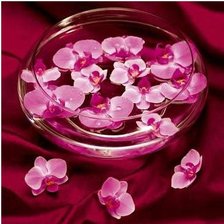 Схема вышивки «№134031»