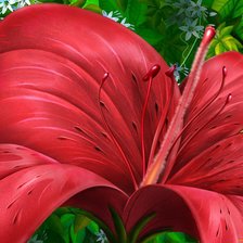 Схема вышивки «цветы»