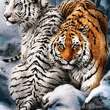 Схема вышивки «№134281»