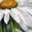Предпросмотр схемы вышивки «Ромашки» (№134363)