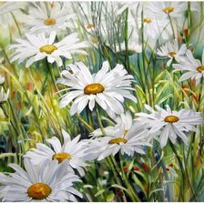 Схема вышивки «Ромашки»